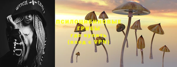 PSILOCYBIN Верхнеуральск